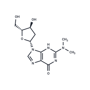 化合物 2’-Deoxy-N2,N2-dimethylguanosine|TNU1168|TargetMol