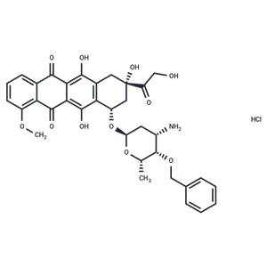 化合物 Berubicin HCl,Berubicin HCl