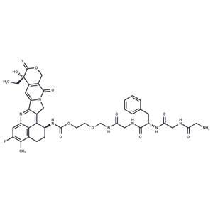 化合物 GGFG-amide-glycol-amide-Exatecan|T77886|TargetMol