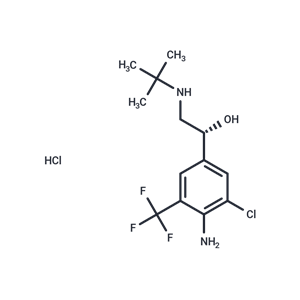 化合物 L-Mabuterol HCl|T24413|TargetMol