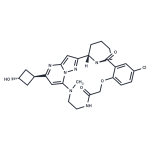 RSV-IN-2|T40114|TargetMol