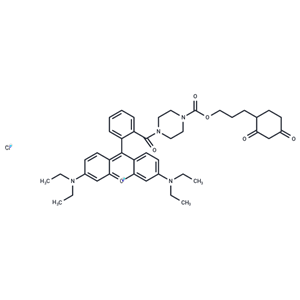 DCP-Rho1|T36502|TargetMol