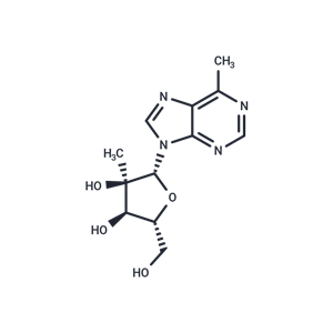 化合物 6-Methyl-9-(2-C-Methyl-beta-D-ribofuranosyl) purine|TNU0101|TargetMol