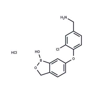 化合物 AN3485 Hydrochloride|T26626|TargetMol