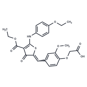 化合物 ZINC08438472|T24864|TargetMol