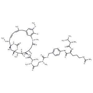 化合物 Val-Cit-amide-Cbz-N(Me)-Maytansine|T80885|TargetMol