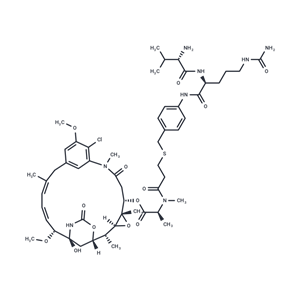 化合物 vc-PABC-DM1|T77848|TargetMol