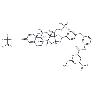 化合物 Glucocorticoid receptor agonist-1 phosphate Gly-Glu TFA|T82303|TargetMol