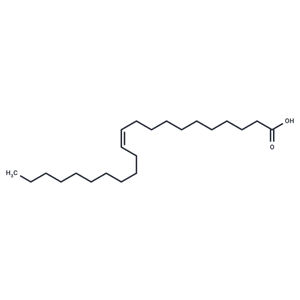 化合物 11(Z)-Docosenoic Acid,11(Z)-Docosenoic Acid