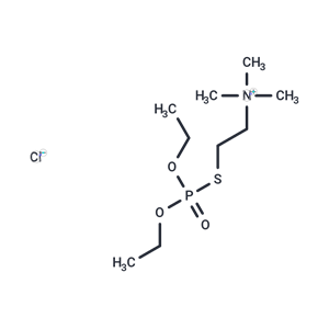 化合物 Echothiophate chloride|T71257|TargetMol