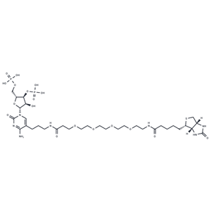 化合物 Biotin-PEG4-alkane-3',5'-cytidine-bisphosphate|T84814|TargetMol