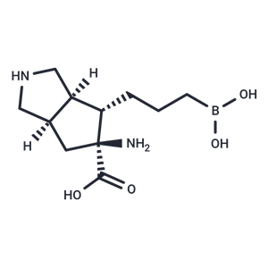 ARG1-IN-1|T39932|TargetMol