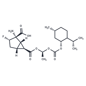 MGS0274|T38990|TargetMol