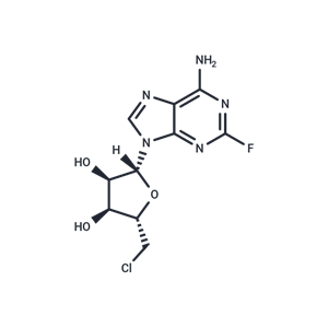 化合物 Fludarabine-Cl|T60701|TargetMol