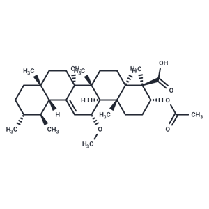 乙酰 11α-甲氧基-β-乳香酸|TN2450|TargetMol