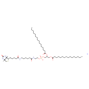 1,2-Dipalmitoyl-sn-glycero-3-PE-N-(cap biotin) (sodium salt),1,2-Dipalmitoyl-sn-glycero-3-PE-N-(cap biotin) (sodium salt)