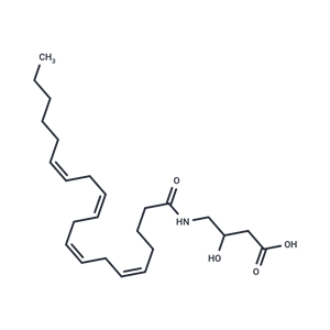 N-Arachidonoyl-3-hydroxy-γ-Aminobutyric Acid|T38225|TargetMol