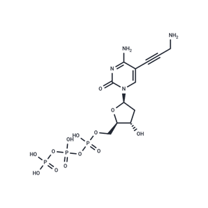 5-Propargylamino-dCTP,5-Propargylamino-dCTP