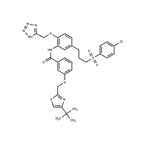 化合物 YM158 free base|T10501|TargetMol