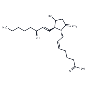 9-deoxy-9-methylene Prostaglandin E2|T36728|TargetMol