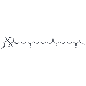 Biotin-XX hydrazide|T39559|TargetMol