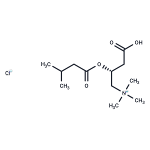 Isovaleryl-L-carnitine (chloride)|T36098|TargetMol