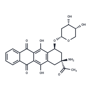 化合物 Amrubicin HCl|T68336|TargetMol