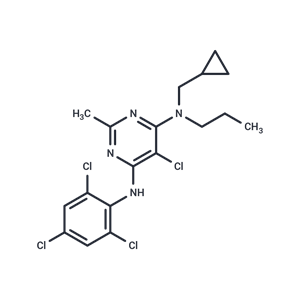 化合物 NBI-27914|T62444|TargetMol