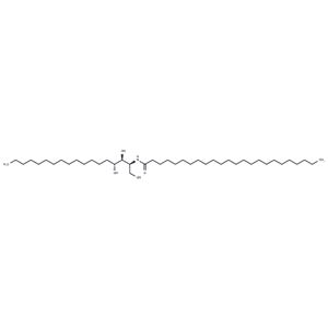 C24 Phytosphingosine (t18:0/24:0),C24 Phytosphingosine (t18:0/24:0)