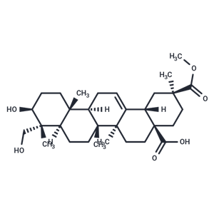 化合物 Phytolaccagenic acid|TN2065|TargetMol