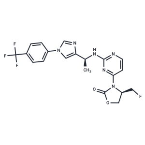 化合物 IDH1 Inhibitor 1|T11613|TargetMol