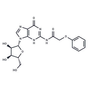 化合物 N2-Phenoxyacetylguanosine|TNU1201|TargetMol