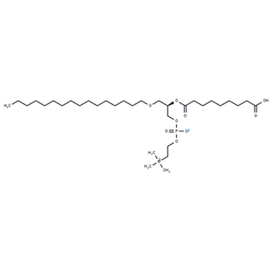 Azelaoyl PAF|T36180|TargetMol