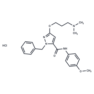 化合物 CFM 1571 hydrochloride|T22197|TargetMol