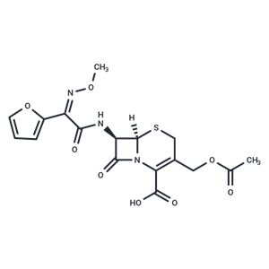 頭孢呋汀|TQ0056|TargetMol