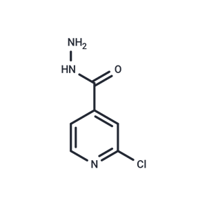 化合物 2-Chloroisonicotinohydrazide|T66558|TargetMol