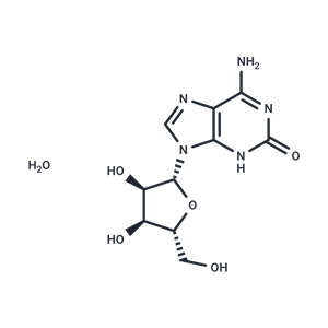 化合物 Isoguanosine|TNU0026|TargetMol