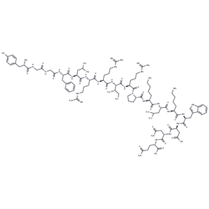 化合物 Dynorphin A|TP2040|TargetMol