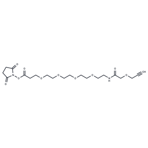 化合物 Propargyl-O-C1-amido-PEG4-C2-NHS ester|T18564|TargetMol