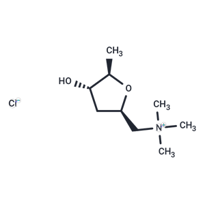 化合物 (±)-Muscarine chloride,(±)-Muscarine chloride