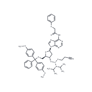 化合物 DMT-dA(PAc) Phosphoramidite|T74121|TargetMol