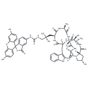 Phalloidin-FITC,Phalloidin-FITC