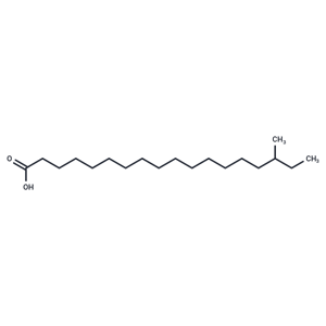 化合物 Methyl stearic acid|T33343|TargetMol