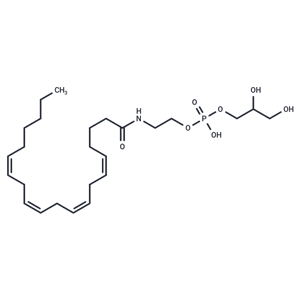 Glycerophospho-N-Arachidonoyl Ethanolamine|T37530|TargetMol