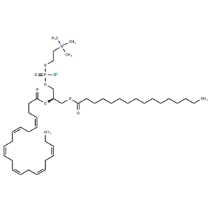 化合物 Palmitoyldocosahexaenoyl phosphatidylcholine,Palmitoyldocosahexaenoyl phosphatidylcholine