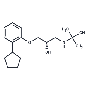化合物 Penbutolol|T12402L|TargetMol