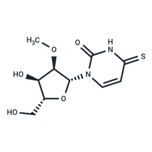 化合物 2’-O-Methyl-4-thiouridine|TNU0236|TargetMol