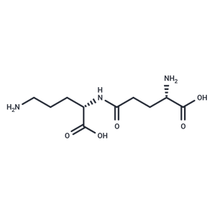 化合物 gamma-Glutamylornithine|T31905|TargetMol