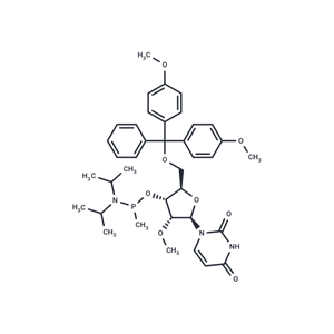 化合物 5'-O-DMTr-2'-OMeU-methyl phosphonamidite|TNU1476|TargetMol