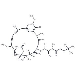 化合物 Maytansinoid DM4|T13766|TargetMol